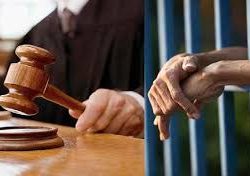 मासूम बच्ची से रेप के दोषी को 11 महीने में मिली 'सजा-ए-उम्रकैद'