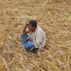 BJP के 'महाराष्ट्र चारा घोटाला' का क्या है पूरा सच ?