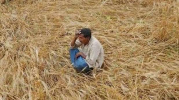 BJP के 'महाराष्ट्र चारा घोटाला' का क्या है पूरा सच ?